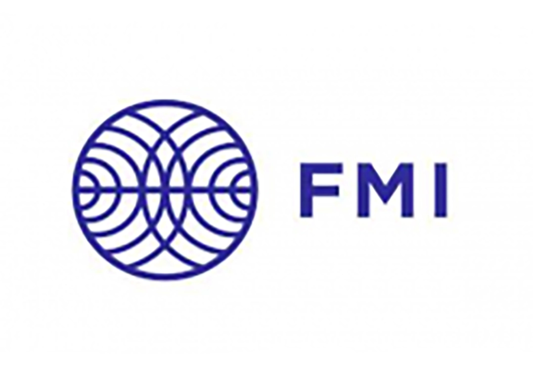 LOGO fmi